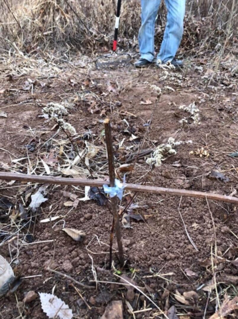 Sticks formed into a cross, marking the site