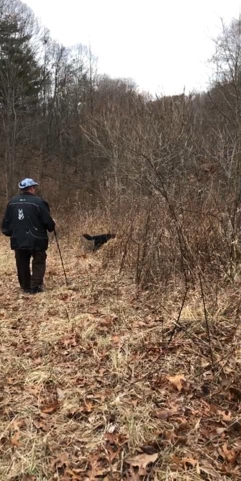 A cadaver dog and a professional in the search location